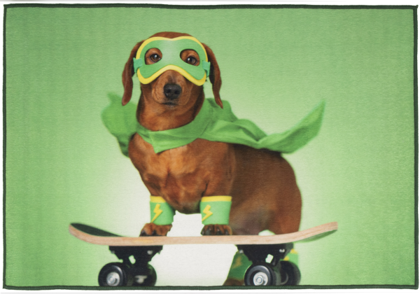 G8011-36 2x3 carpet Super hero dog on a skateboard